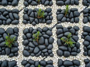 Minimal Rock Grid - Close-up of a precise grid pattern created with black river rocks and white marble chips, intersected by steel strips and punctuated with single specimen plants