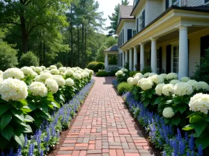 Colonial Brick Walkway - Wide angle view of a formal colonial-style brick path with soldiers course edging, lined with classic white hydrangeas and blue salvias