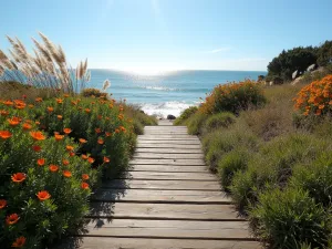 Coastal Garden Steps - Wide angle view of weathered wooden steps leading through coastal plantings of ornamental grasses and flowering perennials, with ocean views