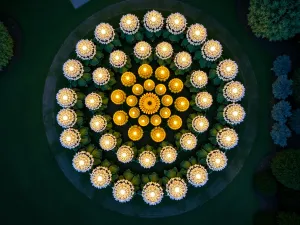 Moonlight Garden Aerial - Drone view of a circular moonlight garden with concentric rings of white and pale yellow sunflowers, uplighting creating a spiral pattern, visible in twilight