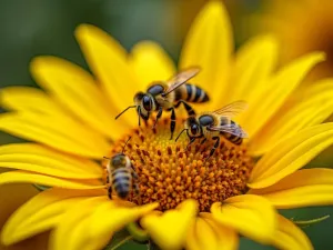 Pollinator Paradise - Close-up macro shot of bees and butterflies on different sunflower varieties, showing the ecological benefits of a mixed sunflower garden, nature photography style