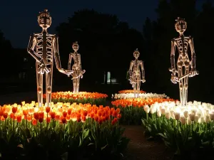 Evening Tulip Sculpture Garden - Modern sculpture garden at night featuring illuminated metal sculptures among beds of white and orange tulips, with dramatic spotlighting creating bold shadows.