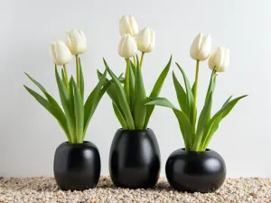 Japanese Inspired Display - Minimalist arrangement of three black ceramic containers with single-color displays of white tulips, placed on light gravel