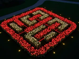 Midnight Tulip Maze - Aerial view of a geometric tulip garden at night, with illuminated pathways creating a maze-like pattern. Red and white tulips glow softly in arranged patterns.