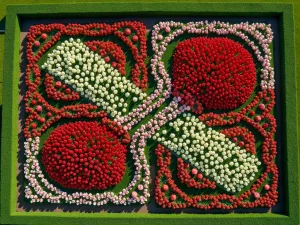 Tulip Knot Garden - An aerial view of a traditional knot garden design filled with red and white tulips in intricate patterns, bordered by perfectly trimmed boxwood