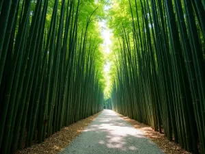 Bamboo Grove Path - Looking up through a peaceful bamboo grove with a simple gravel path winding through, dappled sunlight filtering through the canopy