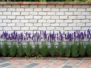 Whitewashed Brick Wall with Lavender Border - A whitewashed brick patio wall with a neat row of blooming lavender plants at its base, Mediterranean style, rustic charm