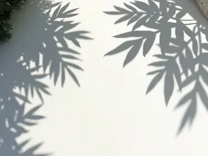 Tropical Leaf Shadows - Aerial view of a white-painted patio floor with dark gray silhouettes of tropical leaves, creating a sophisticated shadow effect